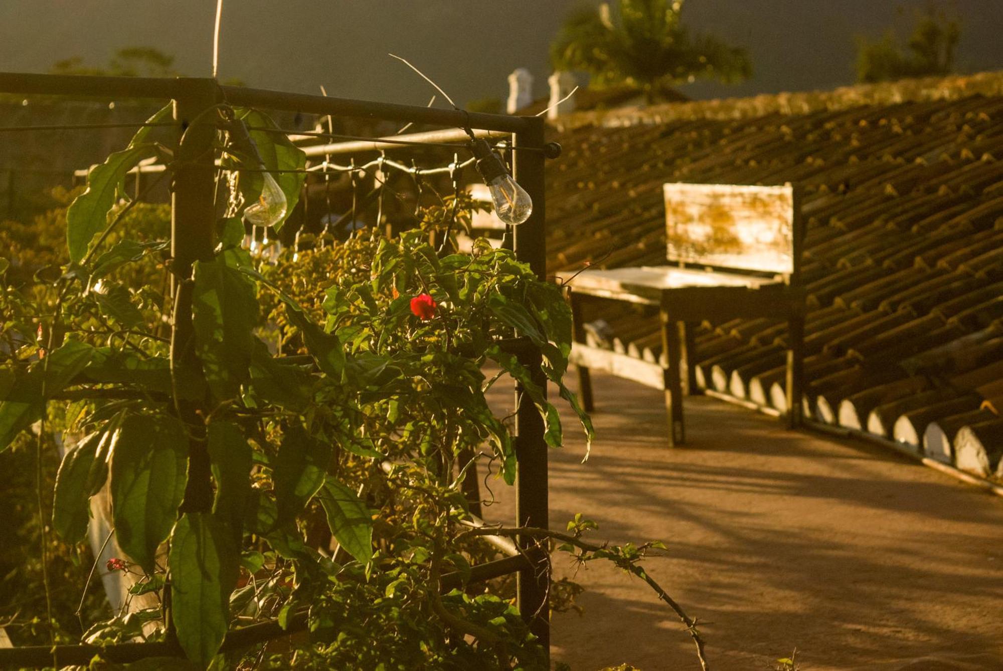 Tzunun Hostel Antigua Екстер'єр фото